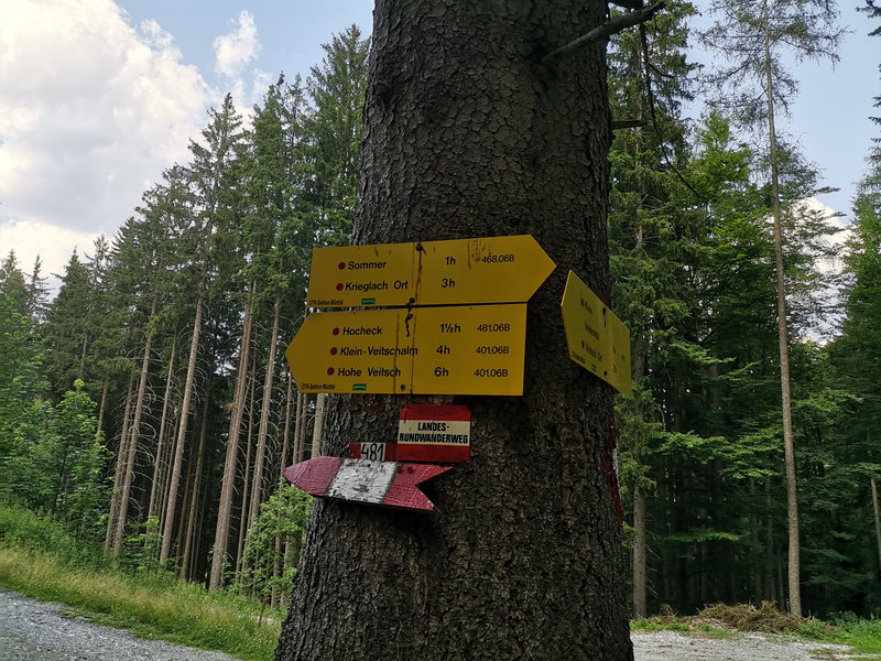 Weiter nach Krieglach. Foto Veronika Schöll