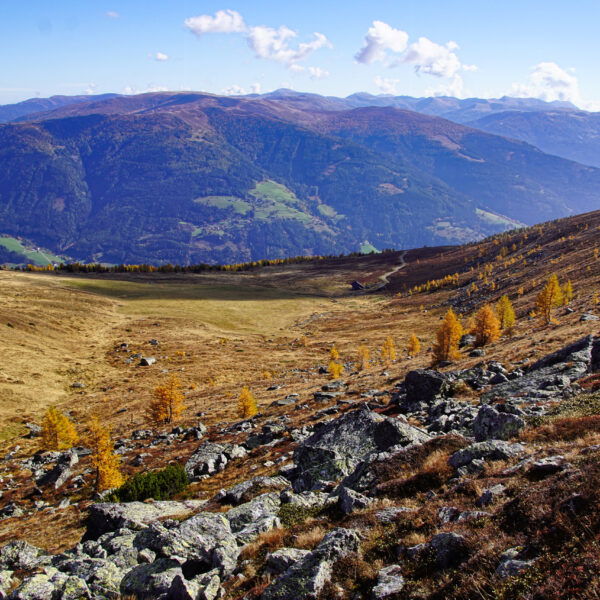 Kessel. Foto: Gerhard Hohenwarter