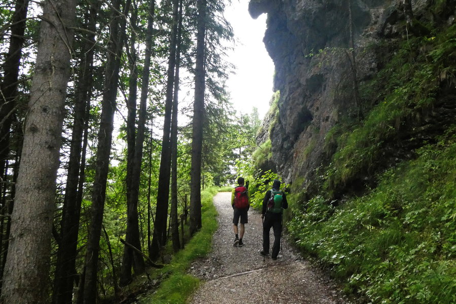 Gut für Gespräche – der schöne Weg zur Mitterkaseralm. Foto: Karl Plohovich