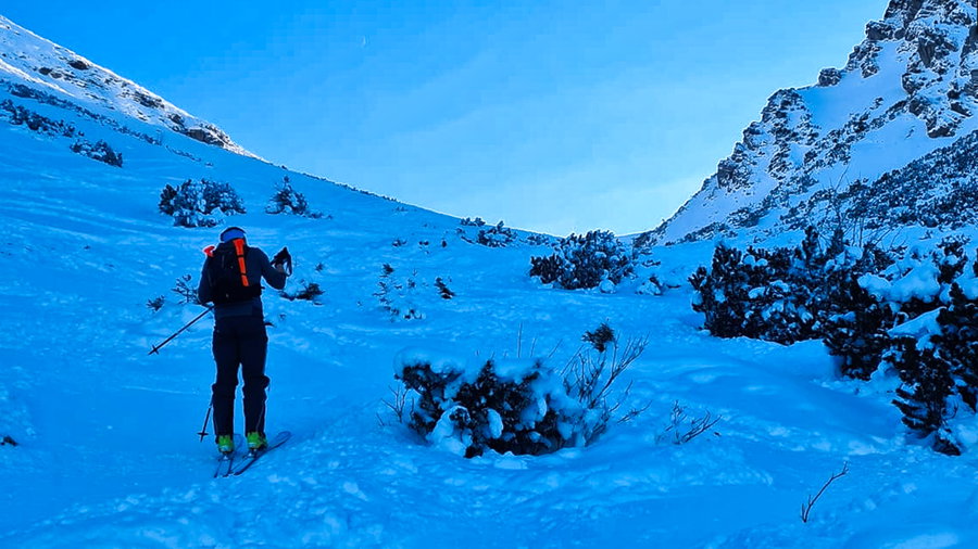 Auffi gehts zwischen den Latschen kurz vor dem Bschießer Joch. Foto: Felix Berg