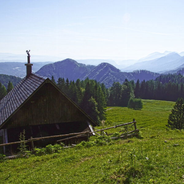 Quadiaalm. Foto: Gerhard Hohenwarter