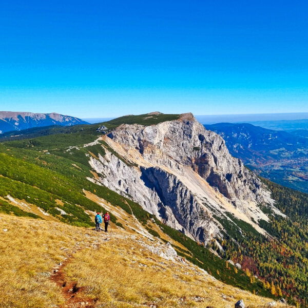 Blick auf den Predigtstuhl. Foto: Andreas Steininger
