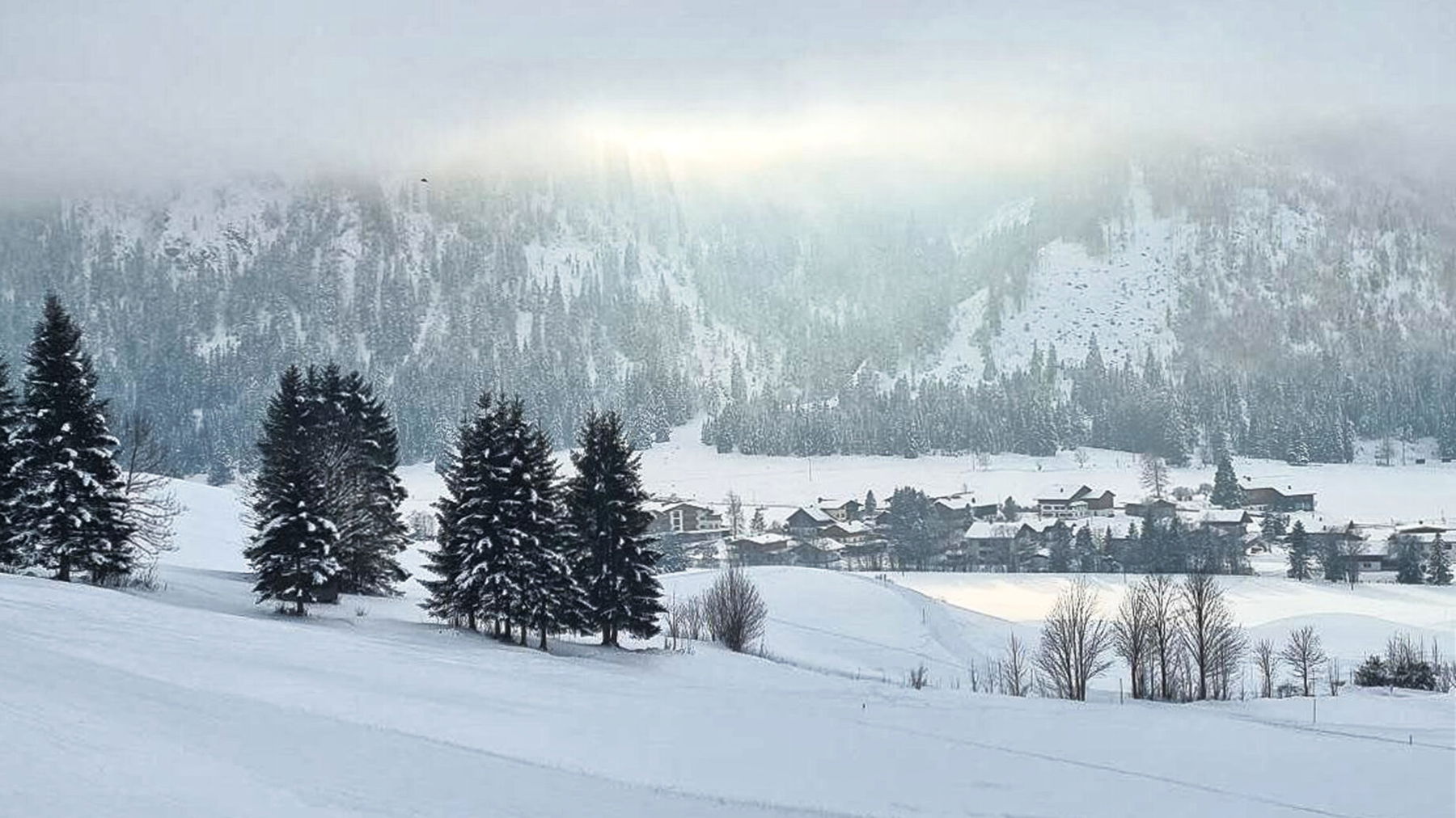 In der Nähe des Haldensee lockert der Nebel schließlich etwas auf. Foto: Felix Berg