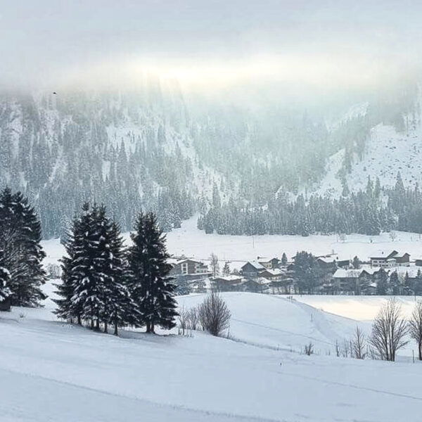 In der Nähe des Haldensee lockert der Nebel schließlich etwas auf. Foto: Felix Berg