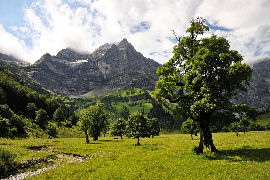 Der Große Ahornboden im Sommer. Foto: P. Steinmüller