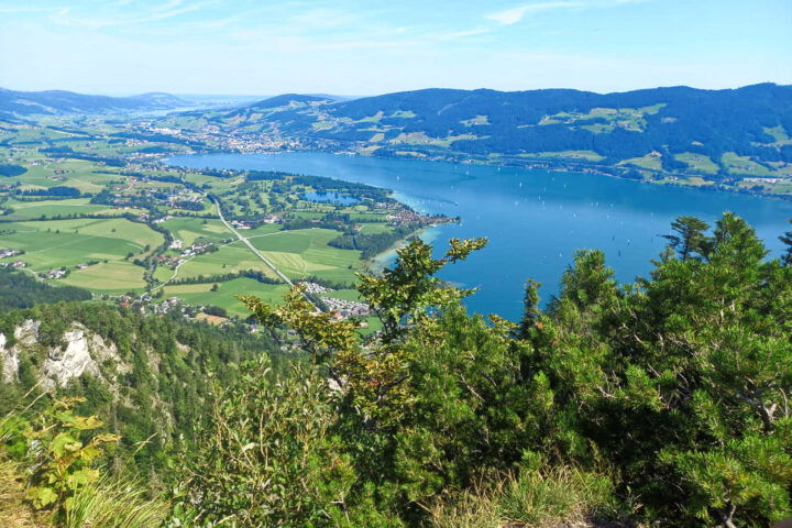 Blick zum Mondsee. Foto: Pia Gerhofer