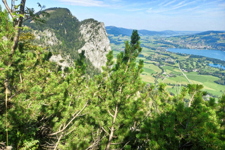 Blick zur Drachenwand. Foto: Pia Gerhofer