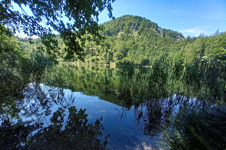 Eibensee. Foto: Pia Gerhofer