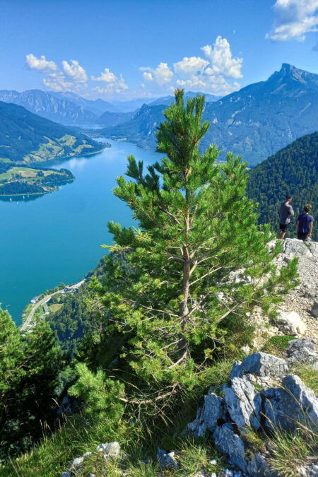 Ausblick. Foto: Pia Gerhofer