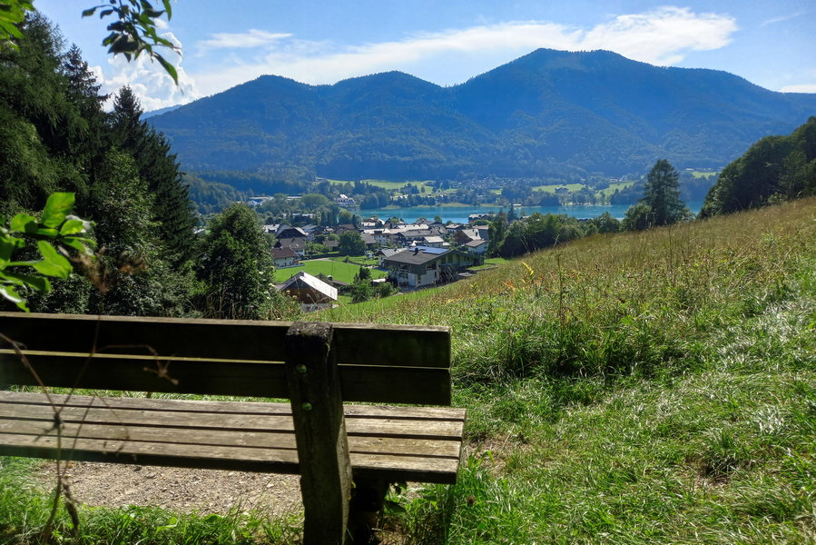 Ausblick auf Fuschl. Foto: Pia Gerhofer