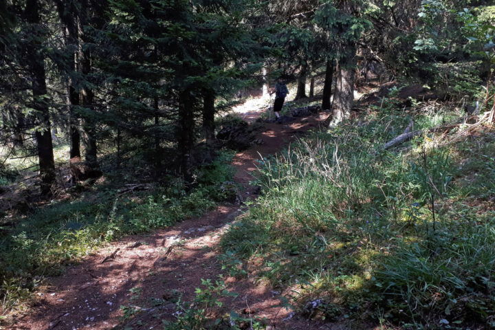 Foto: Gerold Petritsch