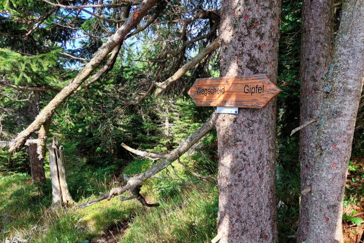 Ende des Klettersteigs mit Wegweiser zum Gipfel. Foto: Alice Frischherz