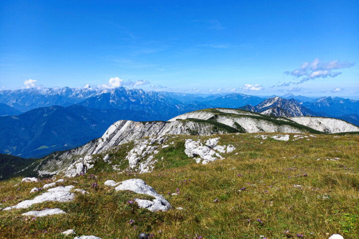 Herrlich. „Möcht ich zum Augenblicke sagen, verweile doch, du bist so schön…“ Foto: Martina Friesenbichler