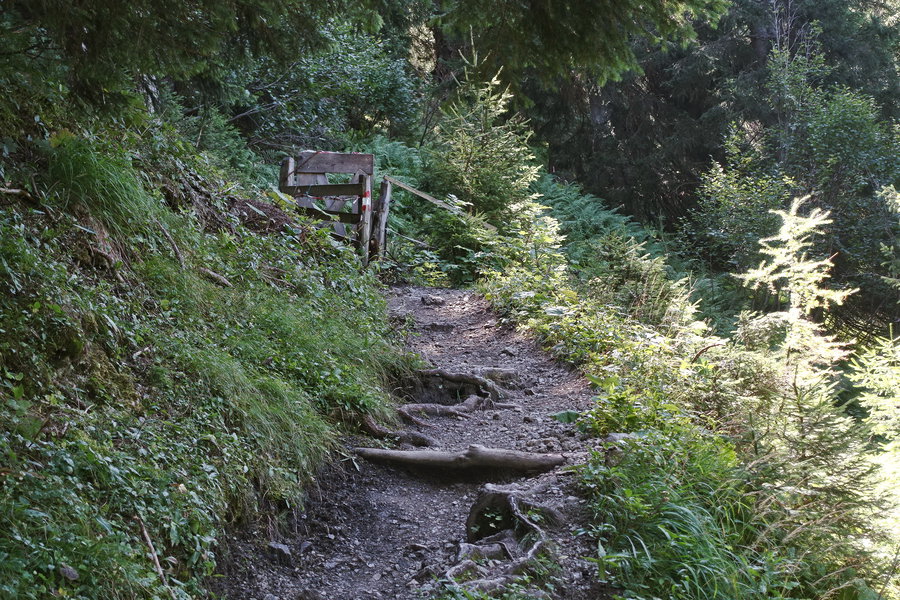 Am Weg zur Bärenbadalm. Fotos: Gerold Petritsch