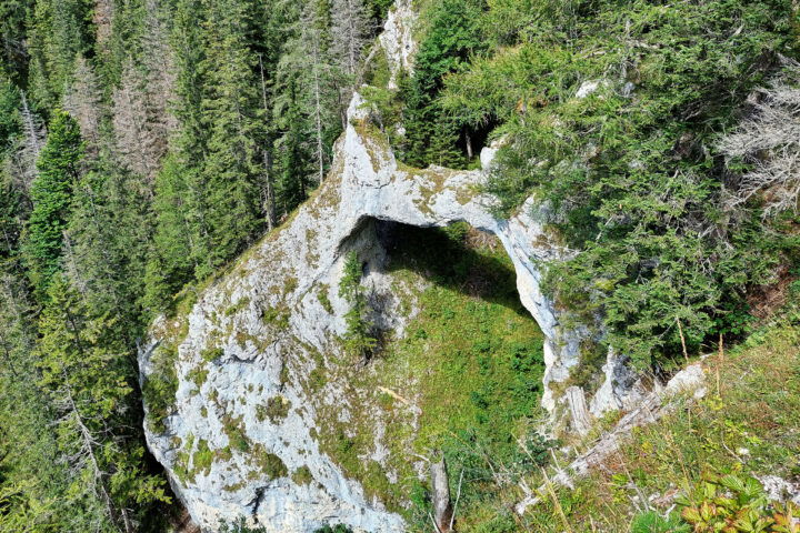 Fotopoint Blick auf die Teufelsbrücke. Foto: Alice Frischherz