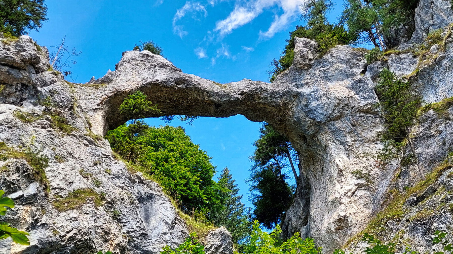 Blick vom Rundweg auf die Teufelsbrücke. Foto: Alice Frischherz