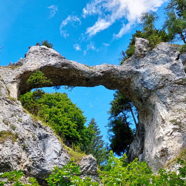 Blick vom Rundweg auf die Teufelsbrücke. Foto: Alice Frischherz