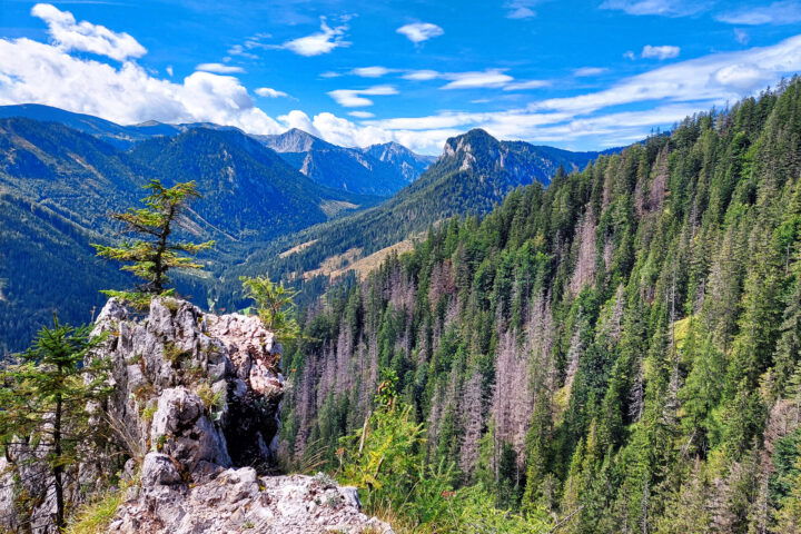 Aussicht vom Fotopoint. Foto: Alice Frischherz