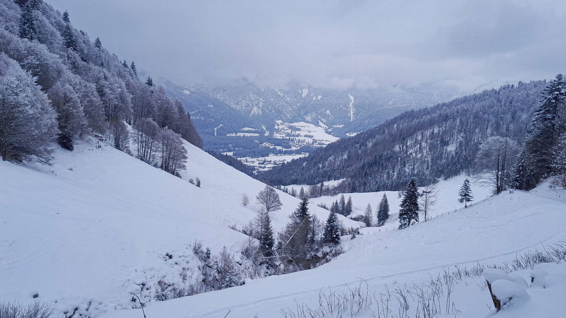Blick zurück. Foto: Anna Siebenbrunner, POW AT