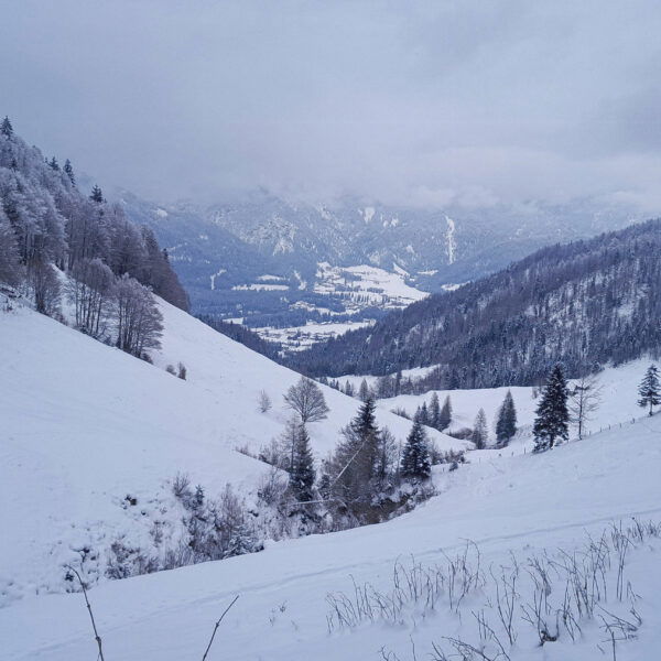 Blick zurück. Foto: Anna Siebenbrunner, POW AT
