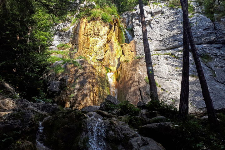 Foto: Gerold Petritsch