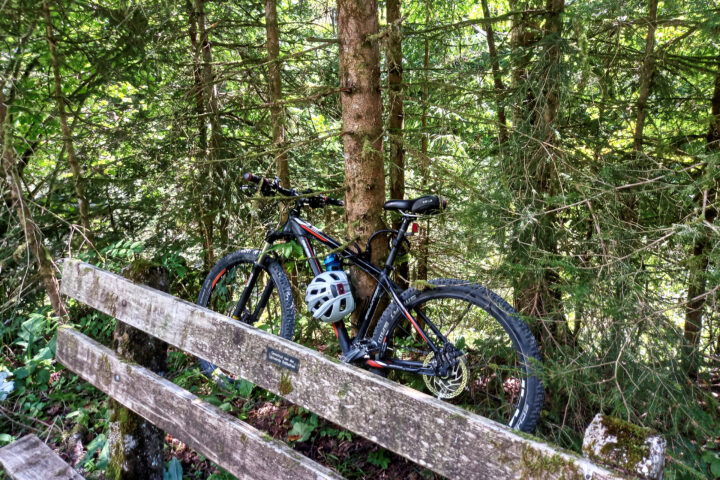 Fahrrad im Gebüsch gesichert. Foto: Martina Friesenbichler