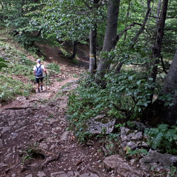 Foto: Gerold Petritsch