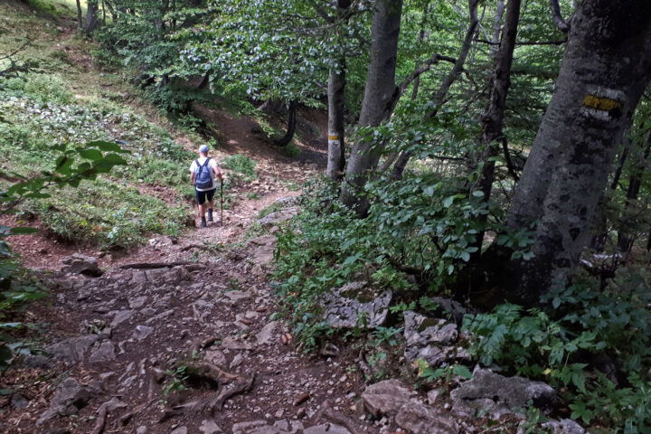 Foto: Gerold Petritsch