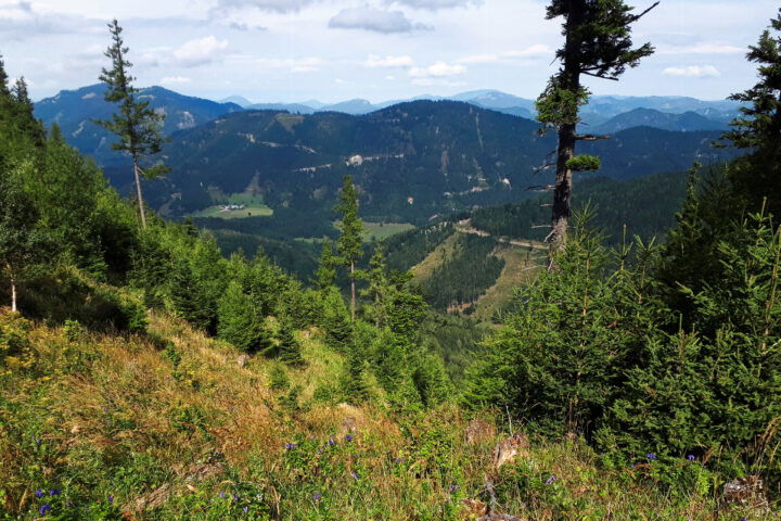 Foto: Gerold Petritsch