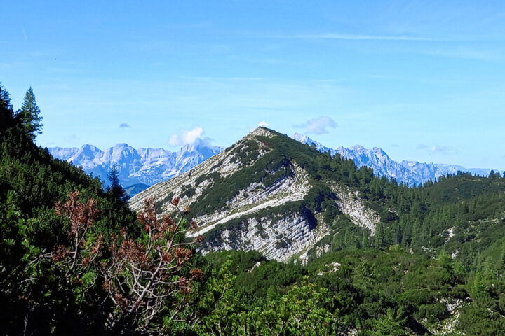 Blick zum Hagler – Steinmänner markieren den Aufstieg, erzählt mir eine Bergkameradin, mit der ich ein Stück des Weges gemeinsam gehe. Foto: Martina Friesenbichler