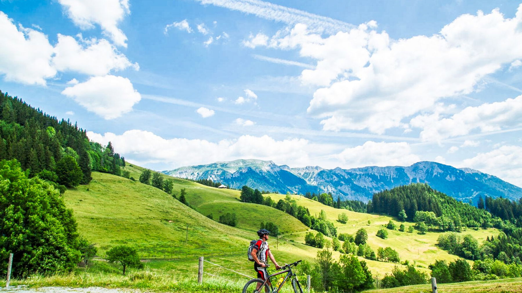 Falkensteinalm. Foto: Andreas Steininger