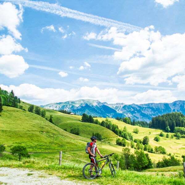 Falkensteinalm. Foto: Andreas Steininger
