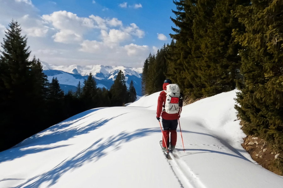 Forstraßen bieten sich für einen angenehmen Aufstieg und eine kraftsparende Abfahrt an. Im oberen Bereich der Abfahrt muss man sich an diesen Weg halten, um nicht in den unpassierbaren Graben zu geraten. Foto: Mountain Tribe
