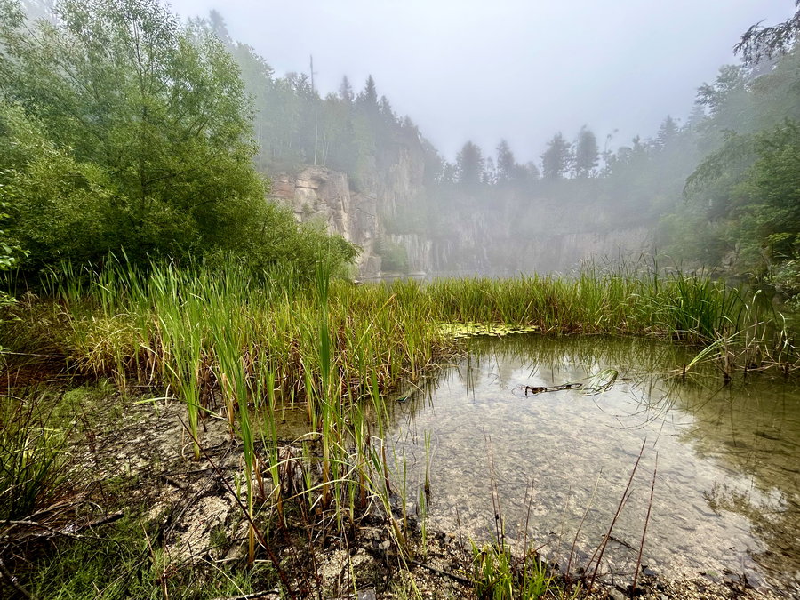 Silbersee. Foto Veronika Schöll