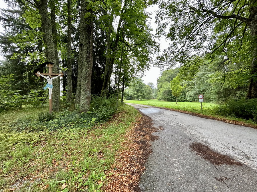 Abzweigung zu den Rosenhofteichen. Foto Veronika Schöll