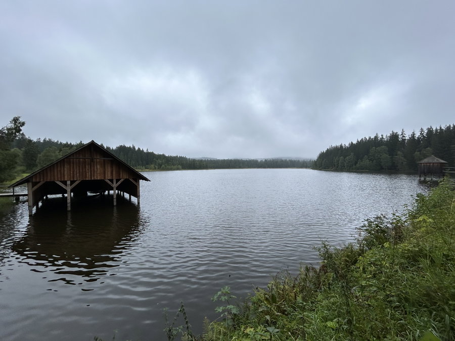 Rosenhofteich. Foto Veronika Schöll