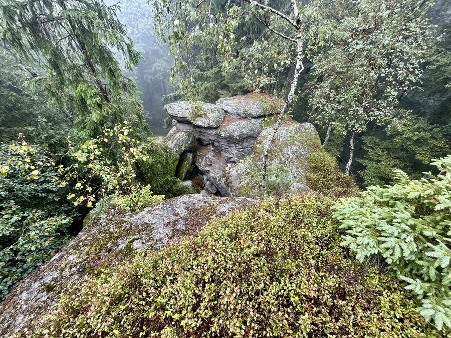 Edelbauerfelsen oben. Foto Veronika Schöll