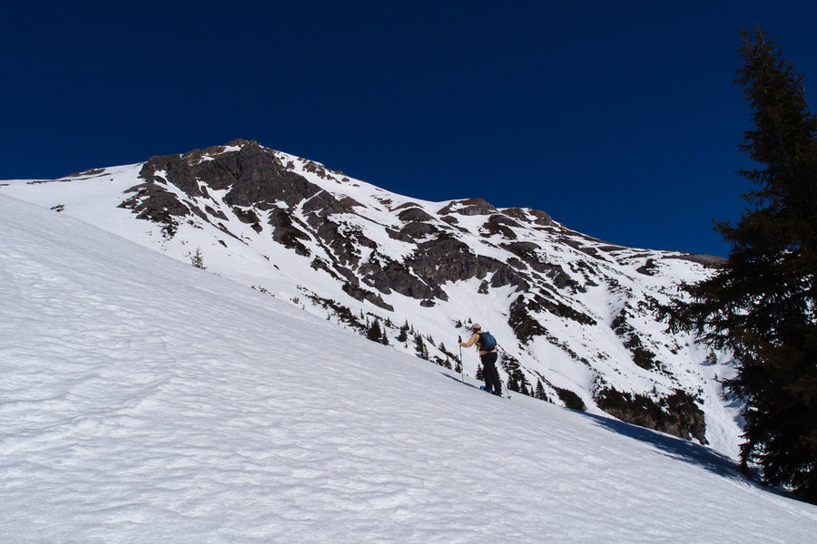 Oberhalb der letzten Bäume wird der Anstieg zur Panoramatour. Vor uns der Hirschpleiskopf (2536 m), zu dem bei sicheren Verhältnissen noch weiter aufgestiegen werden kann. Foto: Florian Kreß
