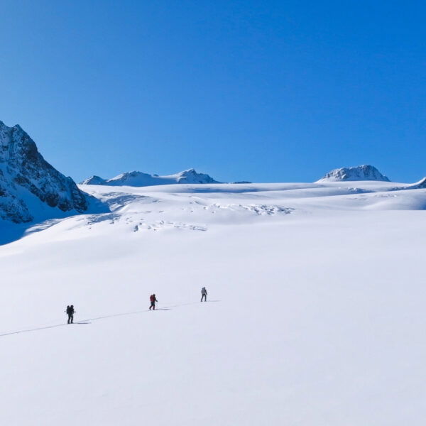 Sonnig am Gepatschferner. Foto: Mountain Tribe