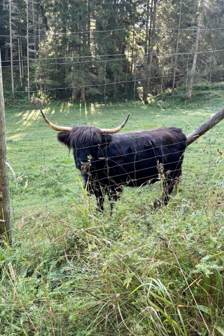Warten auf den Bus und nette Begegnung am Beginn unserer Wanderung. Fotos Veronika Schöll