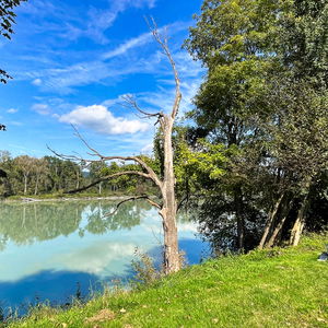 Europareservat Unterer Inn: Von Braunau nach Mining