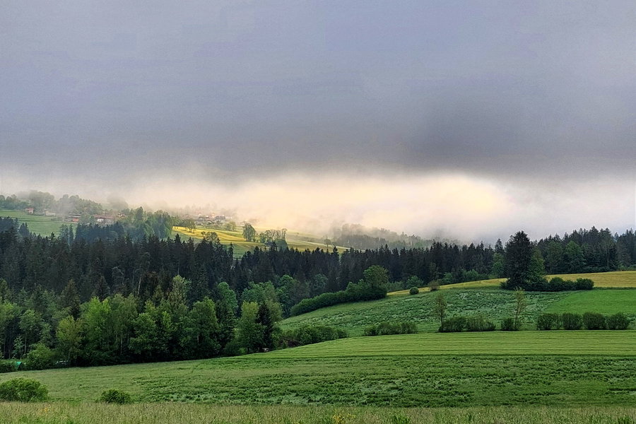 Morgenstimmung im Almenland. Foto: Alice Frischherz