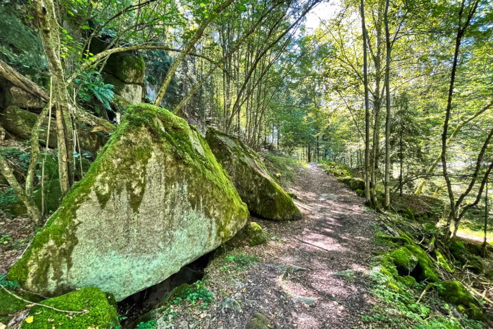 Entlang der Waldaist. Foto: Eva Maria Ginal