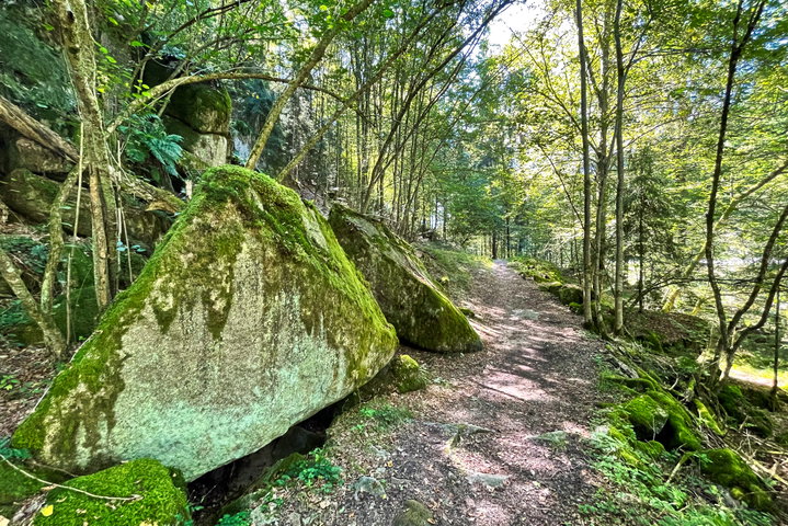 Entlang der Waldaist. Foto: Eva Maria Ginal