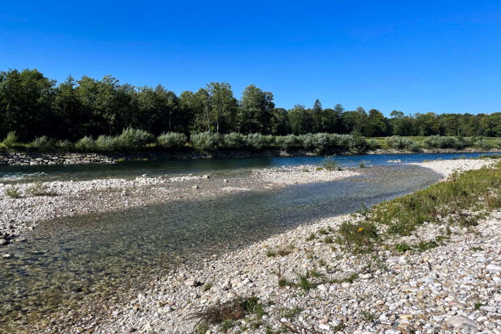 Schotterufer Traun. Foto: Eva Maria Ginal