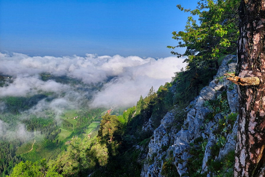 Eine steile Stelle der Gösserwand mit Blick in Richtung Nordwesten. Foto: Alice Frischherz