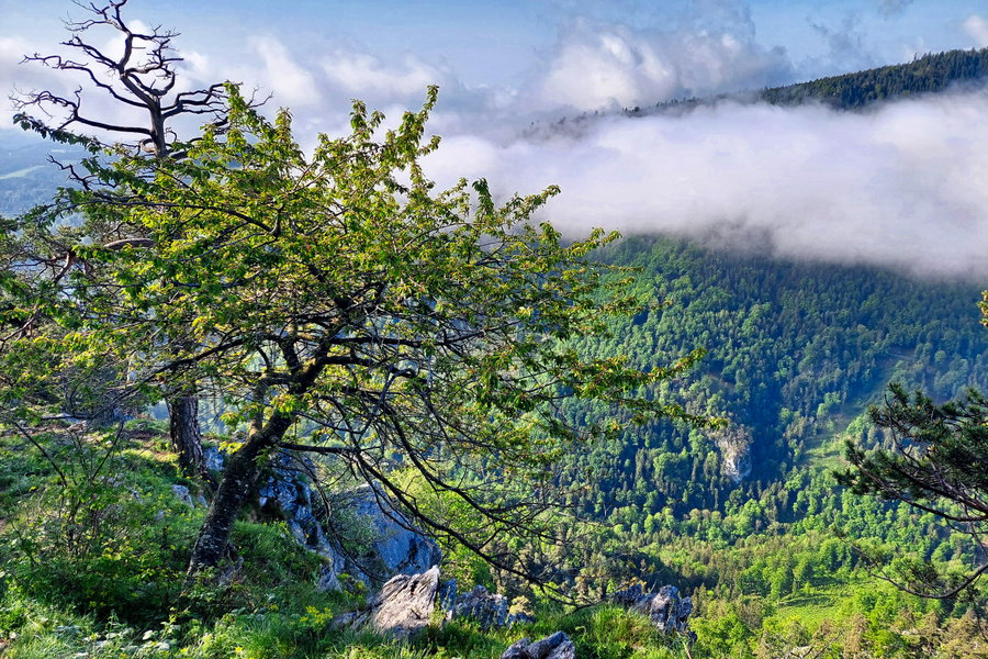 Sonne und Wolken auf der Gösserwand. Foto: Alice Frischherz