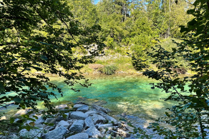Blick auf die Alm. Foto: Eva Maria Ginal