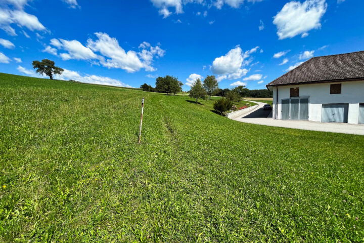 Beim Bauernhof Abzweigung in den Wiesen-Pfad. Foto: Eva Maria Ginal