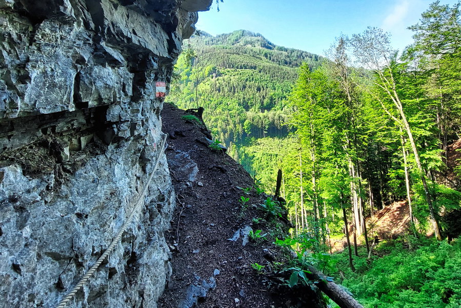 Kurze seilversicherte Passage im Arzberger Kirchsteig. Foto: Alice Frischherz